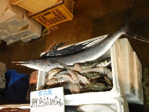 20131005 - T̔ł  -_64