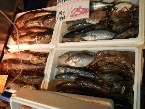 20131005 - T̔ł  -_65