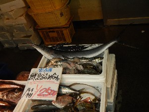 20131005 - T̔ł  -_66