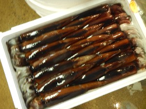 20131005 - T̔ł  -_68