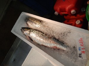 20131012 -T̔ł-_38