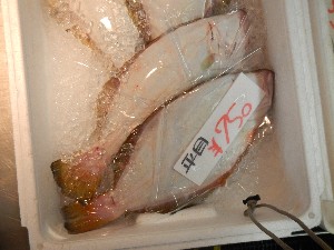 20131012 -T̔ł-_42