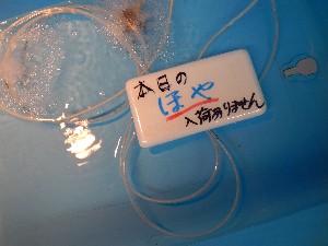 20131012 -T̔ł-_45