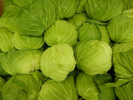 20131020 -���T�̔���ł�-_3