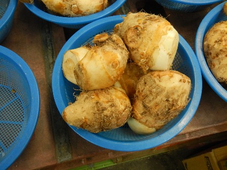 20131020 -���T�̔���ł�-_7