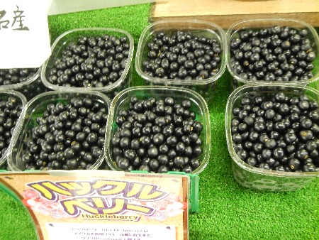 20131020 -���T�̔���ł�-_12