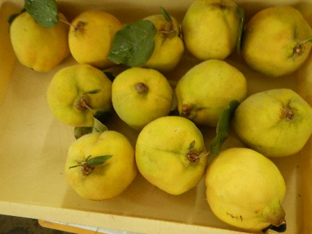 20131020 -���T�̔���ł�-_15