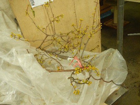 20131020 -���T�̔���ł�-_17