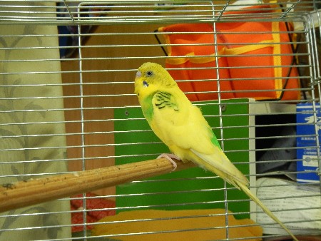 20131020 -���T�̔���ł�-_18