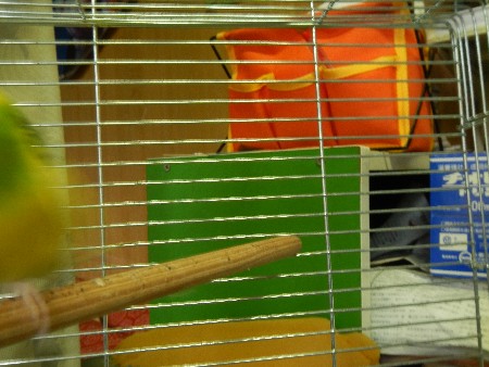 20131020 -���T�̔���ł�-_19