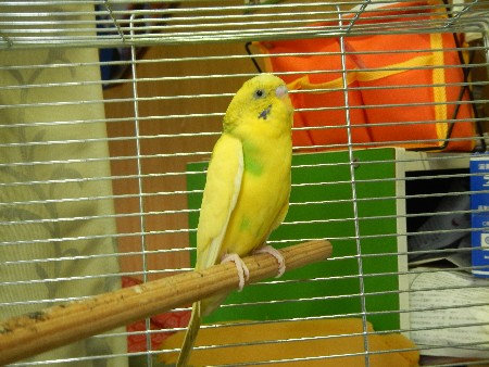 20131020 -���T�̔���ł�-_20