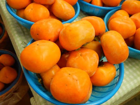 20131020 -���T�̔���ł�-_22