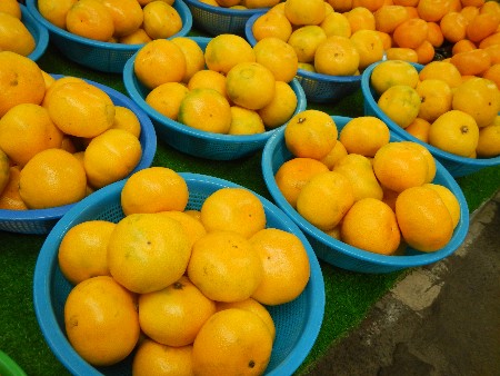 20131020 -���T�̔���ł�-_23