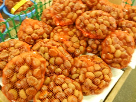 20131020 -���T�̔���ł�-_25