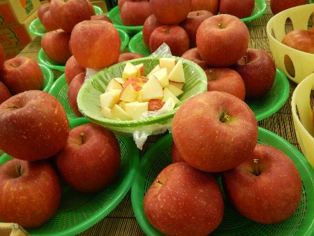 20131020 -���T�̔���ł�-_28