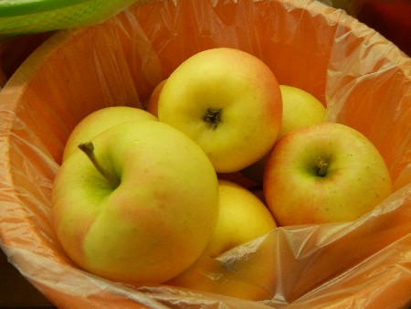 20131020 -���T�̔���ł�-_30