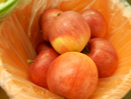 20131020 -���T�̔���ł�-_31