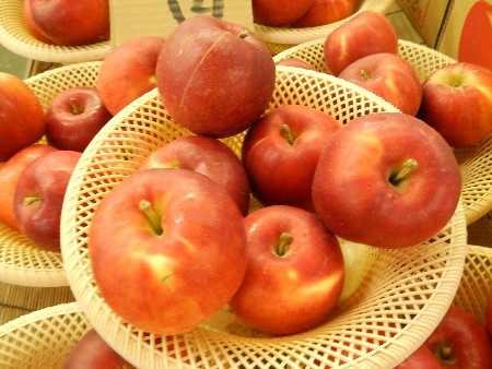 20131020 -���T�̔���ł�-_33