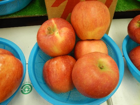 20131020 -���T�̔���ł�-_36