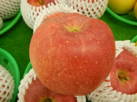 20131020 -���T�̔���ł�-_37