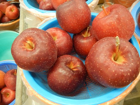 20131020 -���T�̔���ł�-_38