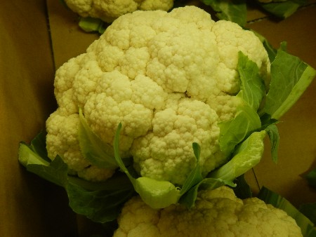 20131020 -���T�̔���ł�-_41