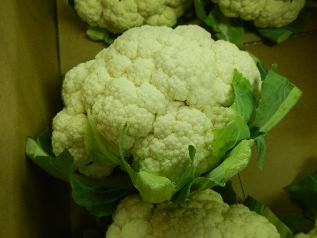 20131020 -���T�̔���ł�-_42