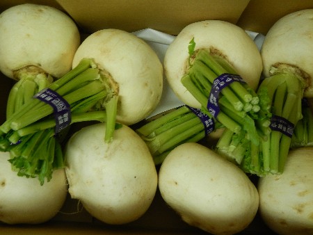 20131020 -���T�̔���ł�-_43