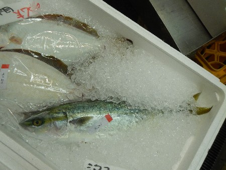 20131020 -���T�̔���ł�-_46