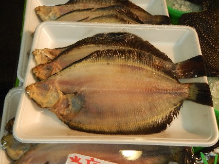 20131020 -���T�̔���ł�-_54