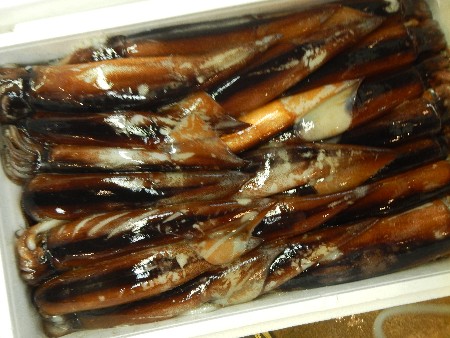 20131020 -���T�̔���ł�-_55