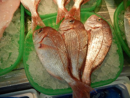 20131020 -���T�̔���ł�-_56