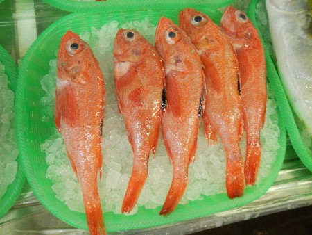 20131020 -���T�̔���ł�-_57