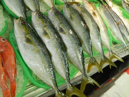 20131020 -���T�̔���ł�-_58