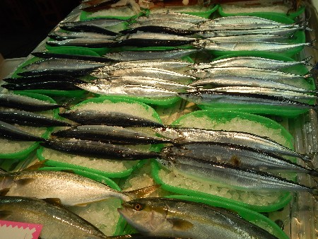 20131020 -���T�̔���ł�-_59