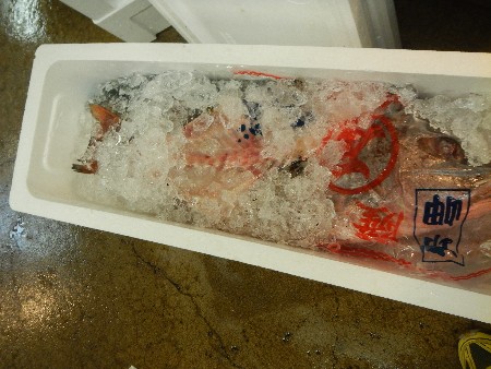 20131020 -���T�̔���ł�-_61