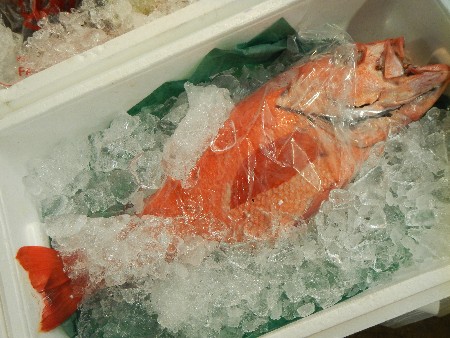 20131020 -���T�̔���ł�-_62