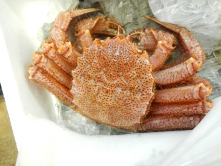 20131020 -���T�̔���ł�-_63