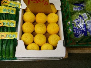 20131102 -T̔ł-_2