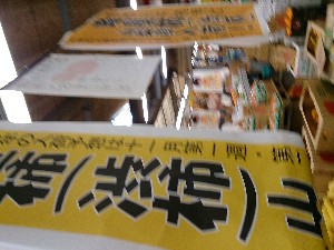 20131102 -T̔ł-_5