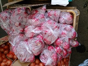 20131102 -T̔ł-_13