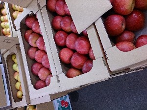 20131102 -T̔ł-_30