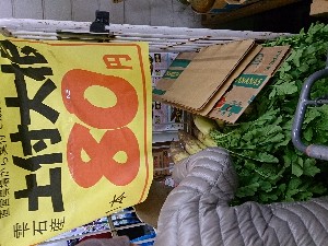 20131102 -T̔ł-_36