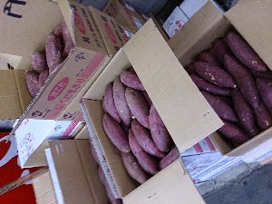 20131102 -T̔ł-_37