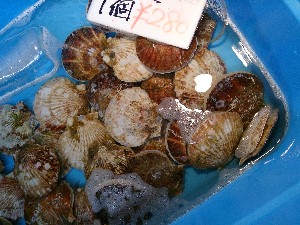 20131102 -T̔ł-_42