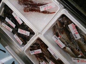 20131102 -T̔ł-_43