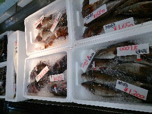 20131102 -T̔ł-_45
