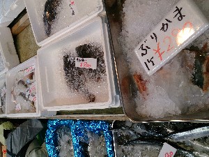 20131102 -T̔ł-_46