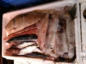 20131102 -T̔ł-_49