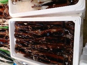 20131102 -T̔ł-_52